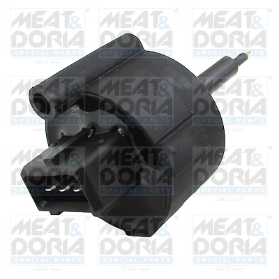 Water Sensor, fuel system